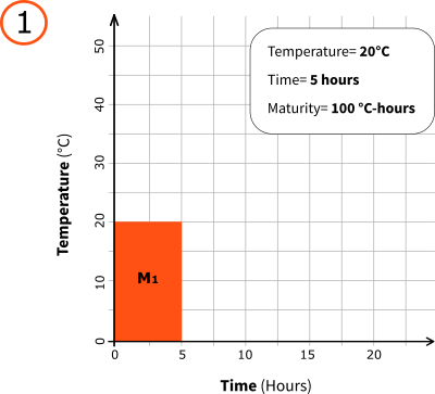 Graph 1: Maturity