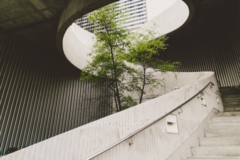 Circular stairs made of concrete with a tree in the middle
